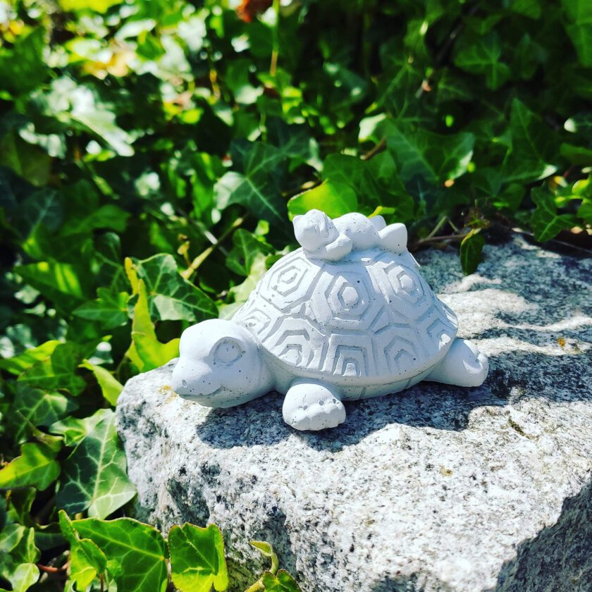 Schildkröte