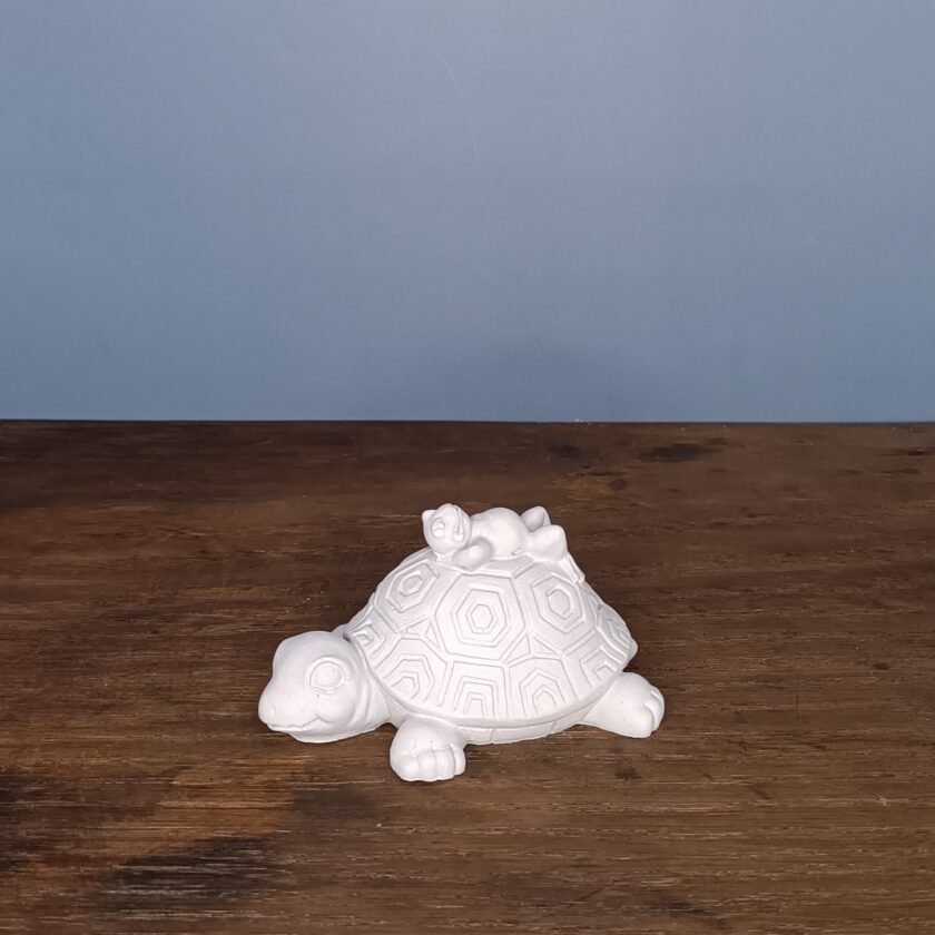 Schildkröte