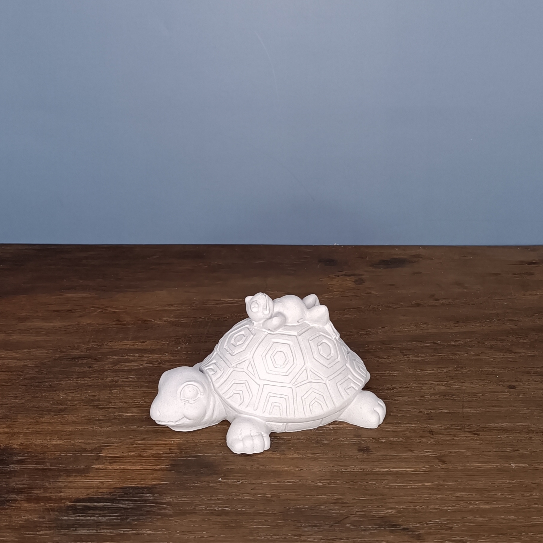 Schildkröte